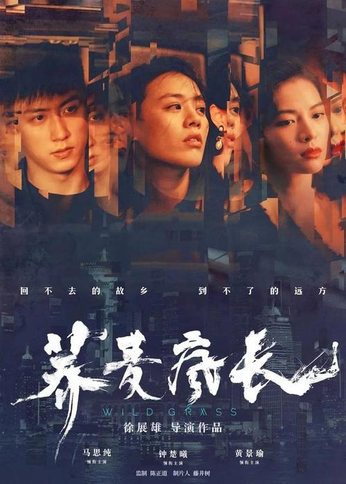 塔兰托音乐学院student card